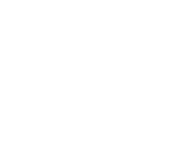 Logo Fighter V